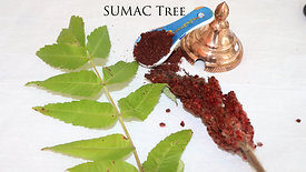 Adding Sumac colors to the work
