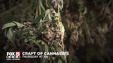 FOX5 Special Report - Craft Of Cannabis