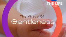 THE VIRTUE OF GENTLENESS