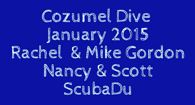 Best Cozumel Dives January 2015