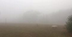 Centerfield at Gryphon's Nest in the mist morning