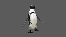 Penguin Walking Animation