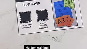 Mailbox Training