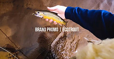 EcoTrout | Promo