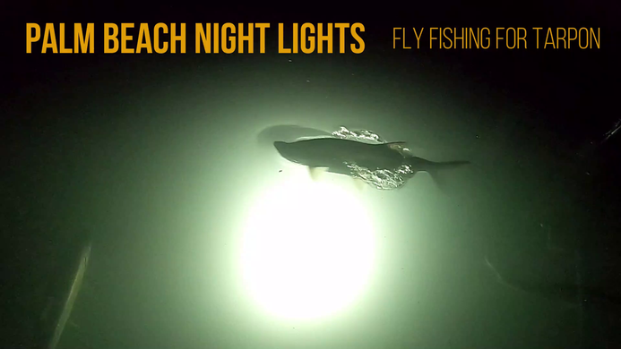 PBNL - Palm Beach Night Lights