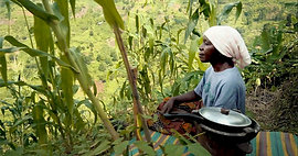 SAT (2020) - Sustainable Agriculture Tanzania