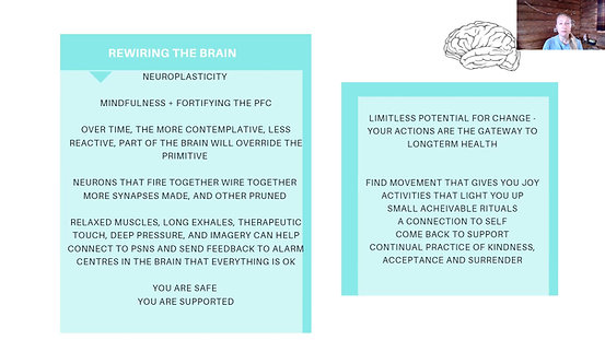 Deeper Dive 4 ~ The brain, hormones & adaptability