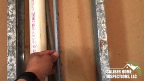 Mold clearance inspection