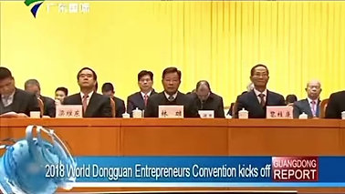 2018: World Dongguan Entrepreneurs Convention