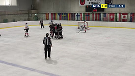 NHA vs Innsbruck Goal # 34 Vertical OT