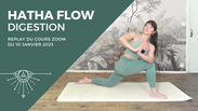 Hatha flow: digestion
