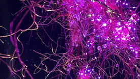 Neural Nebulous installation at the Lusio Light Festival in Seattle, WA