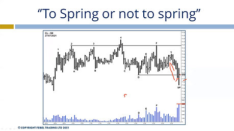 ''To spring or not to spring''