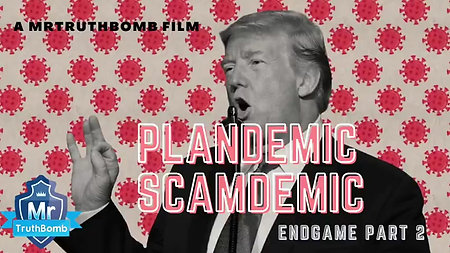 Plandemic   Scamdemic 2 - ENDGAME Part 2 - A Film By MrTruthBomb