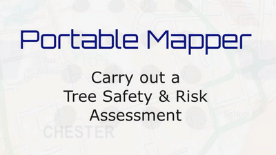 No. 8  Tree Safety & Risk Assessment