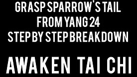 Yang 24 Grasp Sparrow's Tail Sequence