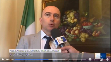 Intervista ad ing.Angelo Ilardi