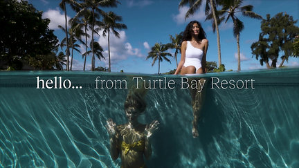 Hello from Turtle Bay Resort / Social Media Short