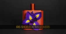 Iris Shot