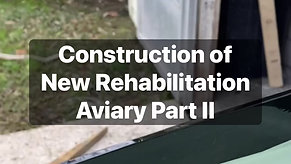 New Rehab Aviary Part Two