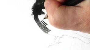 Timelapse drawing mini crow 2 