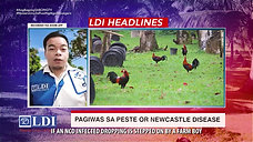 Pag-Iwas Sa Peste ang LDI Headlines February 27, 2022