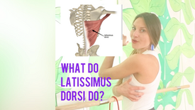 Learning about our Back: Latissimus Dorsi