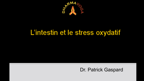 intestin et le stress oxydatif 2021