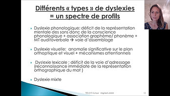 Dyslexies dysorthographie Les enjeux 