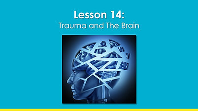 ABH_EN_lesson 14_Trauma and the Brain