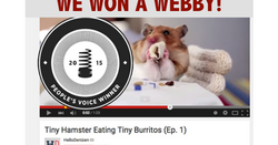 BEST HAMSTER 2015 WEBBY_1217683408001_3566787323001_Tiny-Hamsters-Eating-Tiny-Burritos---Ep-1-ProRes-