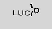 The Lucid Institute Logo