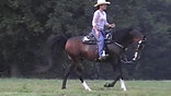 Arabian Stallion Second Sultan and Liz Bentley