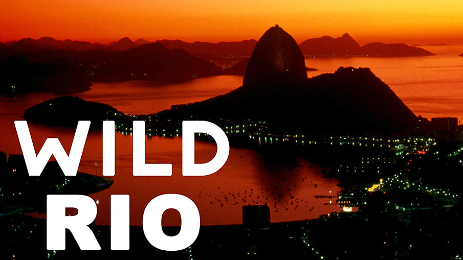 Wild Rio