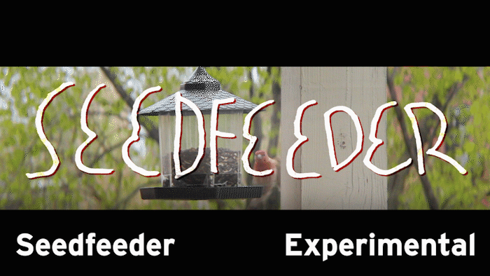 Seedfeeder (Short Film)