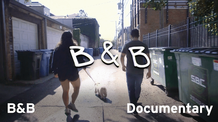 B&B (Documentary)