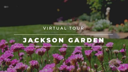 Jackson Garden