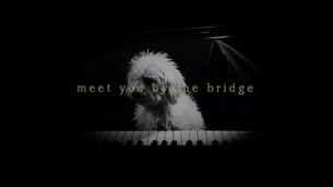 MEET YOU BY THE BRIDGE