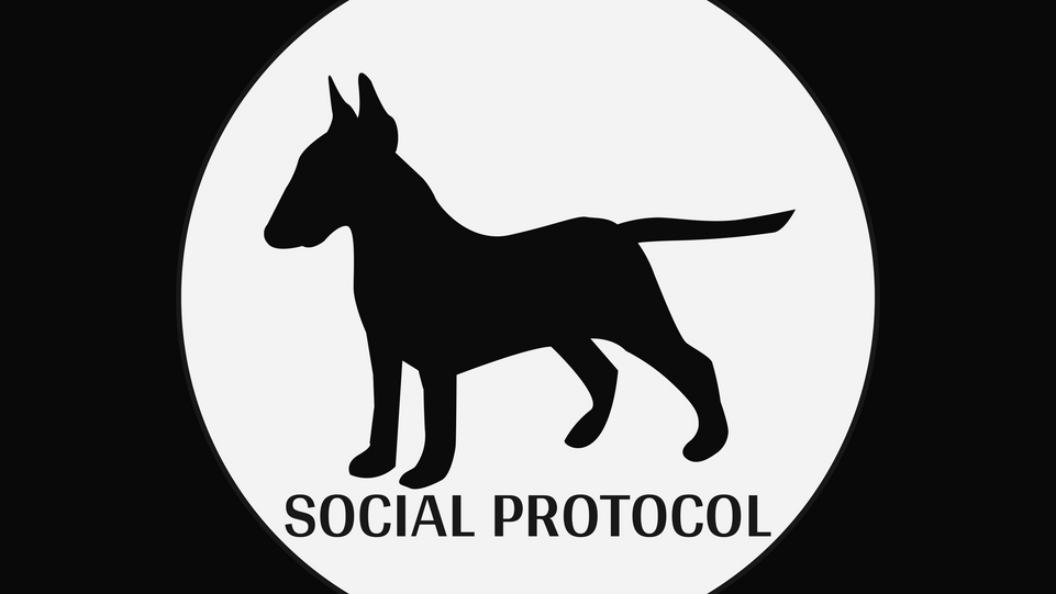 Social Protocol Studios