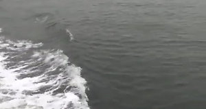 High Speed Boat Chase