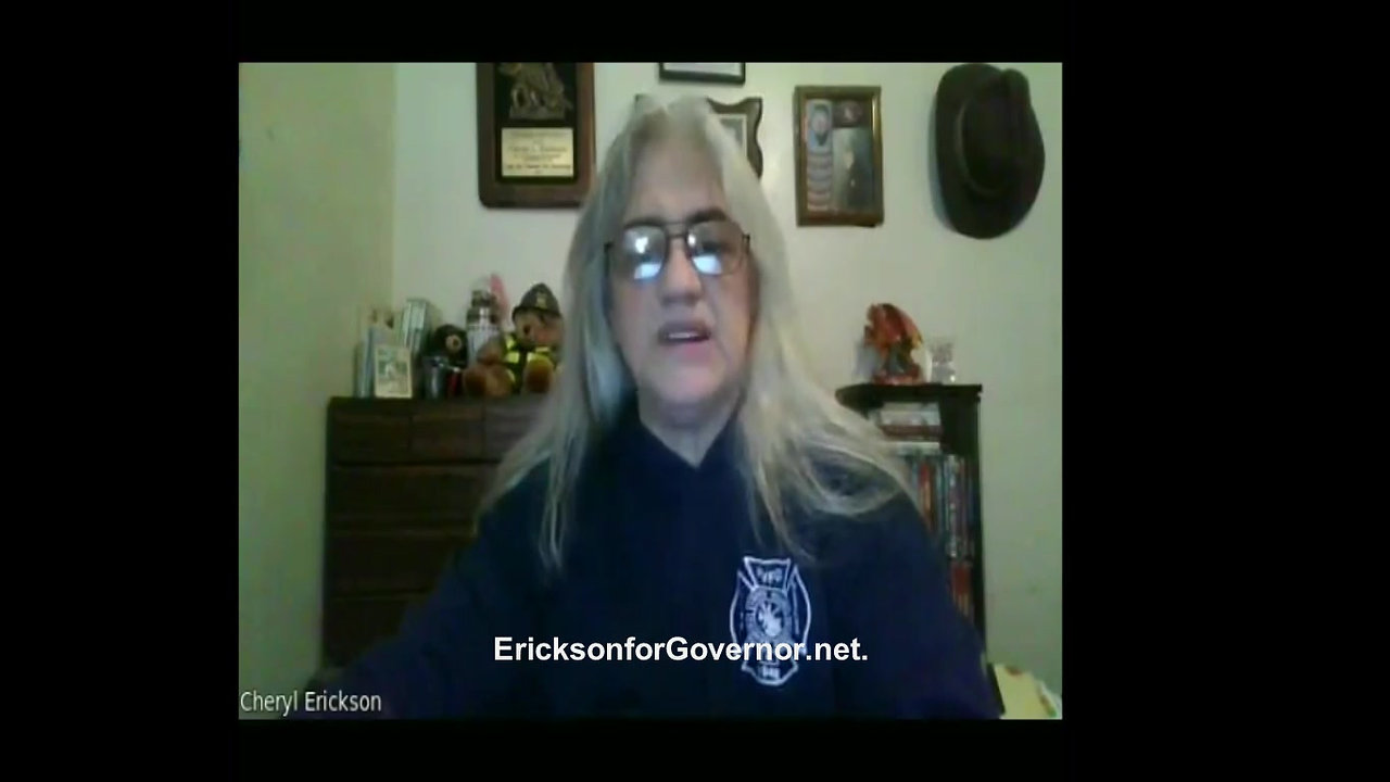 Team Erickson for Illinois Governor 2022