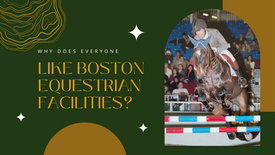 Why Does Everyone Like Boston Equestrian Facilities?