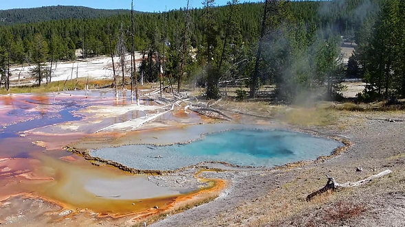 Source chaude à Yellowstone