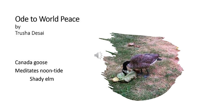 Ode to World Peace by Trusha Desai