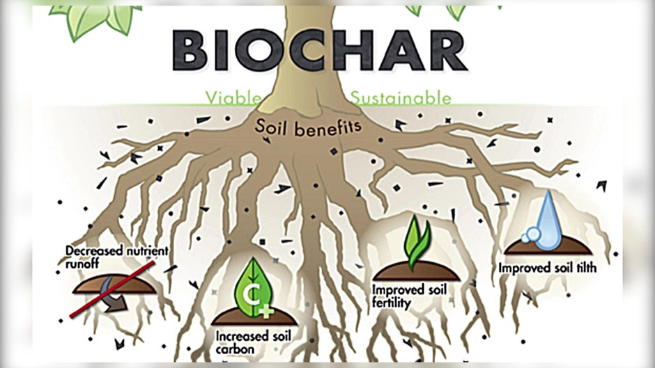 BIOSORRA: Introducing the Benefits of Biochar
