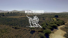 Mezcal Montelobos Clip Digital