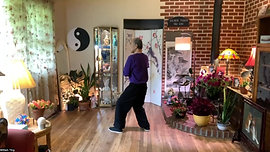 Lesson 76; Tai Chi with Master Ting, June11, 2022