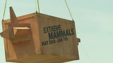 30 Field Museum Xtreme Mammals