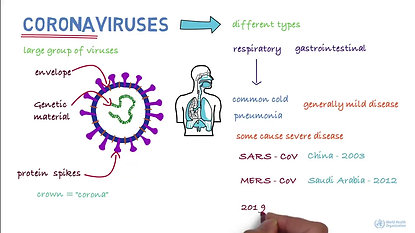 Novel Coronavirus (2019-nCoV)