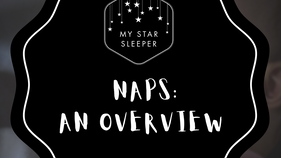 Naps: an overview